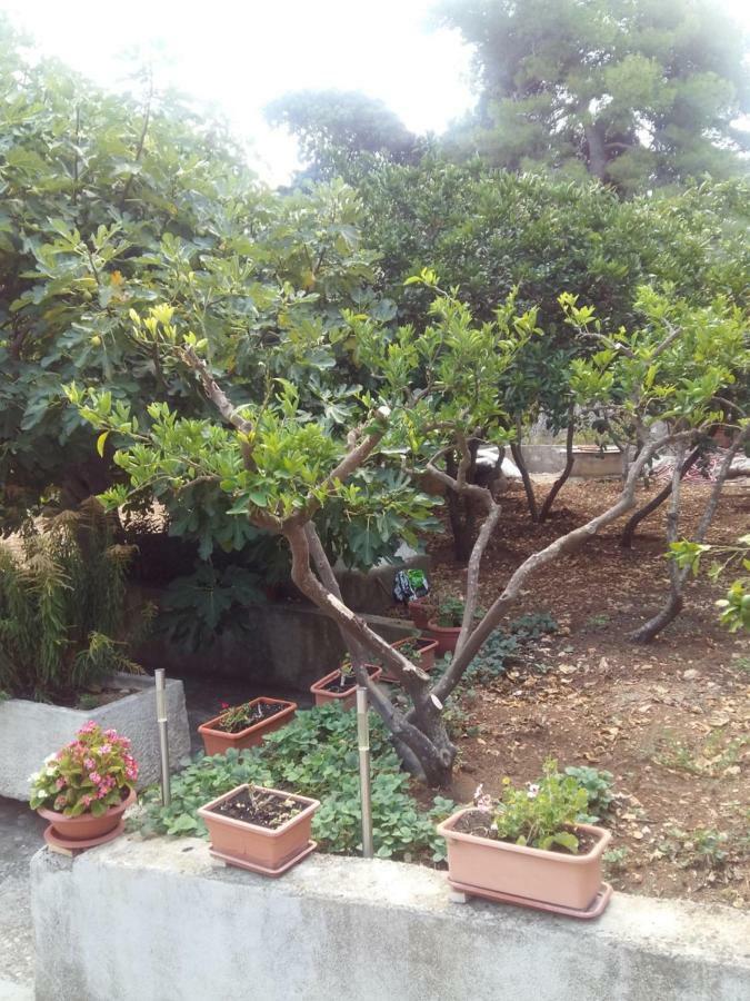 شقة Manda Ljubetic سوتيفان المظهر الخارجي الصورة
