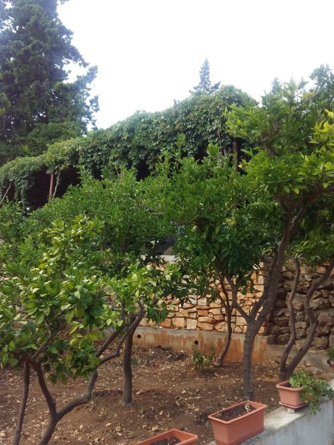 شقة Manda Ljubetic سوتيفان المظهر الخارجي الصورة